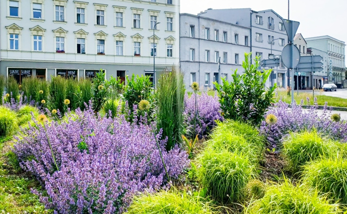Zielona rewolucja w Raciborzu. Miasto stawia na byliny, trawy i nowe rabaty - Serwis informacyjny z Raciborza - naszraciborz.pl