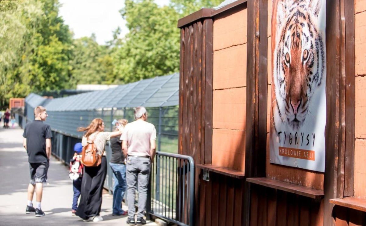 Dream Night – Wieczór Marzeń w ZOO w Chorzowie - Serwis informacyjny z Raciborza - naszraciborz.pl