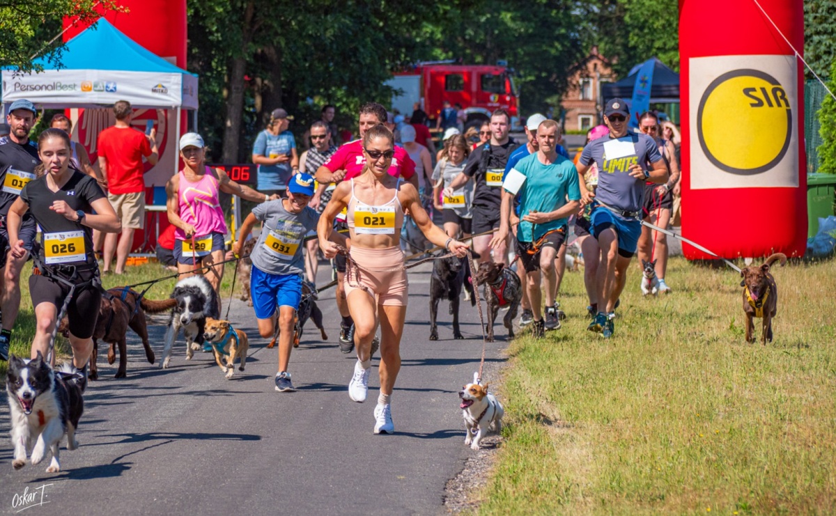 Dogtrekking w Nędzy przyciągnął tłumy. Sport i pomoc zwierzętom podczas VI Festiwalu Górnej Odry [FOTO] - Serwis informacyjny z Raciborza - naszraciborz.pl