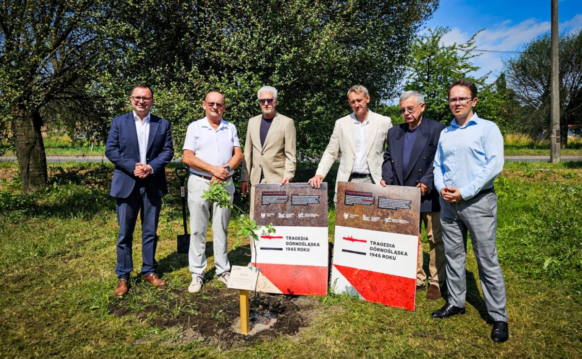 Dąb Pokoju posadzony w Raciborzu. Symbol pamięci o ofiarach Tragedii Górnośląskiej - Serwis informacyjny z Raciborza - naszraciborz.pl