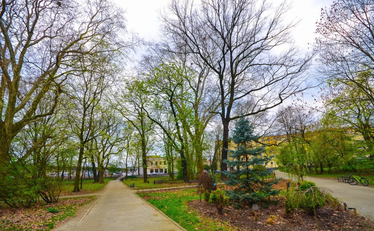Osiem firm chce oświetlić park im. kpt. Franciszka Stala. Najtańsza oferta wyższa od zakładanej kwoty - Serwis informacyjny z Raciborza - naszraciborz.pl