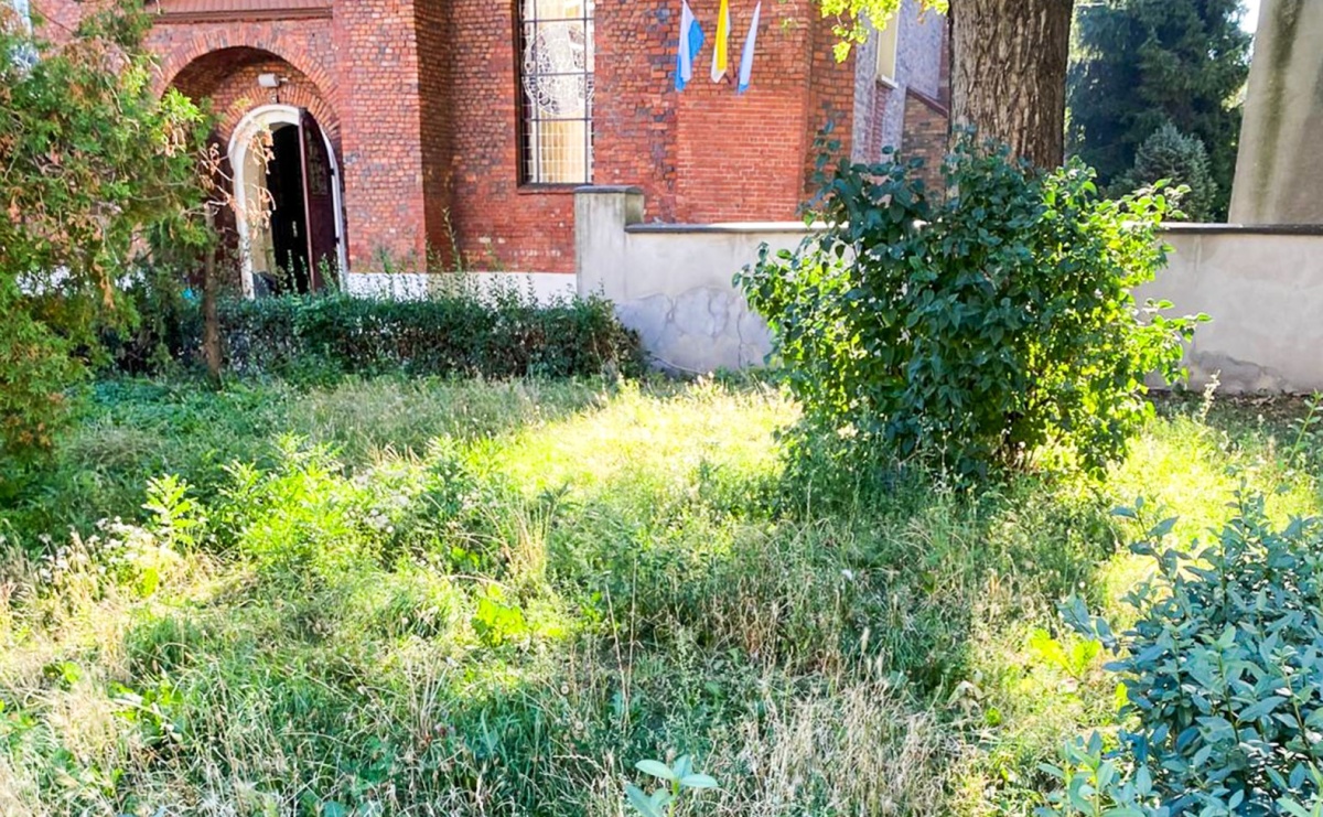 Koszenie trawników w Raciborzu. Miasto odpowiada na interpelację radnej - Serwis informacyjny z Raciborza - naszraciborz.pl