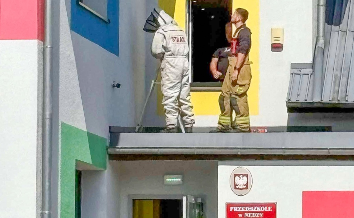 Strażacy interweniowali w trzech miejscowościach. Pożar sadzy, gniazdo os i kolizja z dzikiem - Serwis informacyjny z Raciborza - naszraciborz.pl