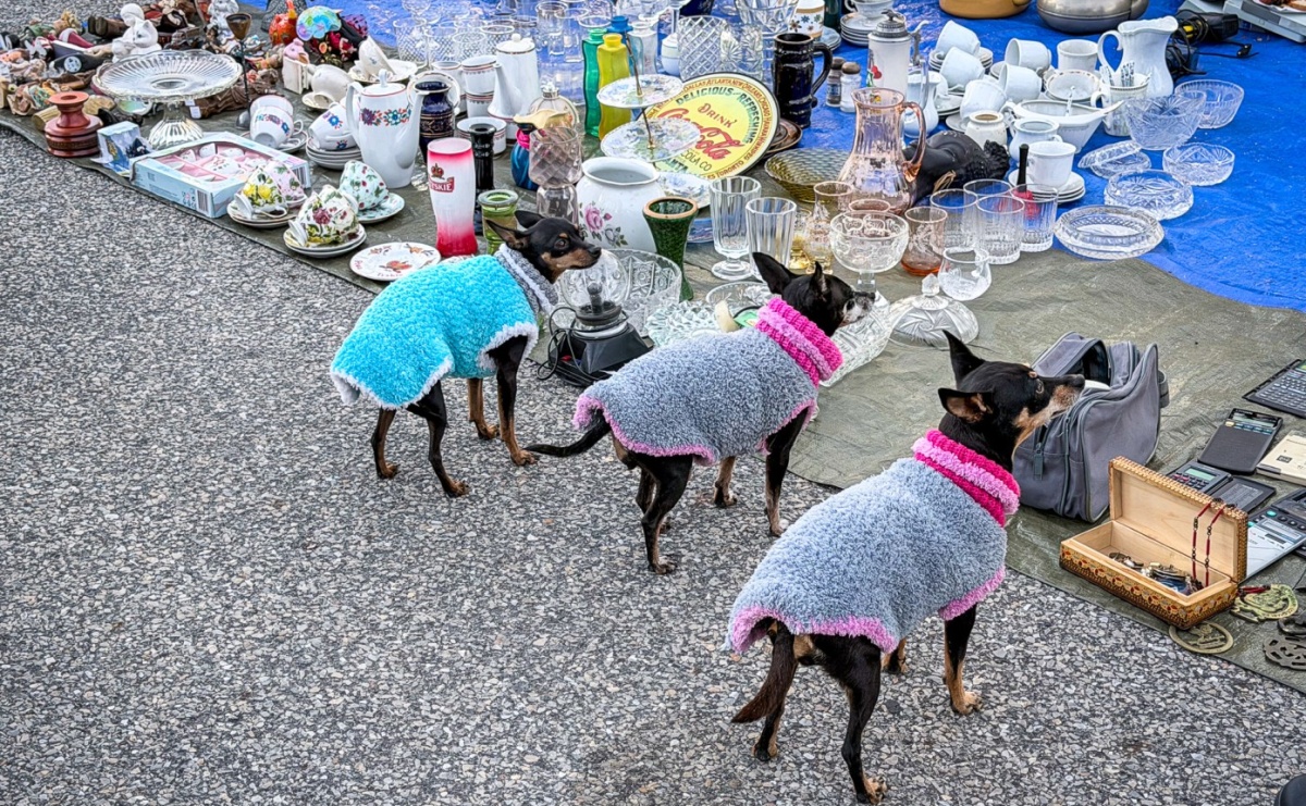 Jarmark na granicy w Chałupkach. Sprzedawcy zjechali z całego regionu [FOTO i WIDEO] - Serwis informacyjny z Raciborza - naszraciborz.pl