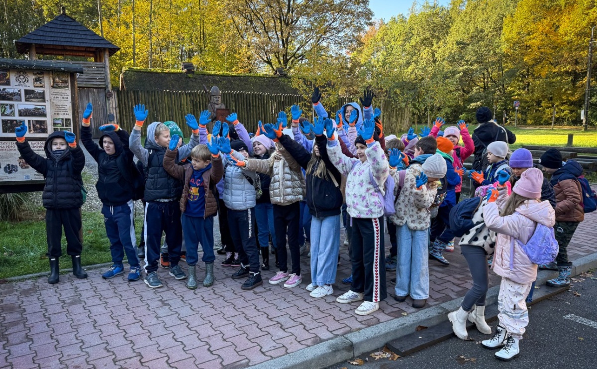5000 krokusów wyrośnie na wiosnę w Arboretum Bramy Morawskiej w Raciborzu - Serwis informacyjny z Raciborza - naszraciborz.pl
