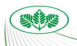 Za dużo marketów, za mało zieleni - Serwis informacyjny z Raciborza - naszraciborz.pl