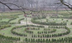 Wkrótce otwarcie zaczarowanego ogrodu - Serwis informacyjny z Raciborza - naszraciborz.pl