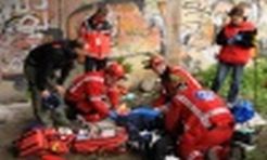 Spadł z mostu, bo użądliły go pszczoły - Serwis informacyjny z Raciborza - naszraciborz.pl